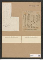 Grammatophora oceanica Ehr. (de-Toni-Nr.: Genus 93, Species 3036) Zeichnungen Sammlung Grunow Nr. 6154 (NHMW-BOT-W0374715)